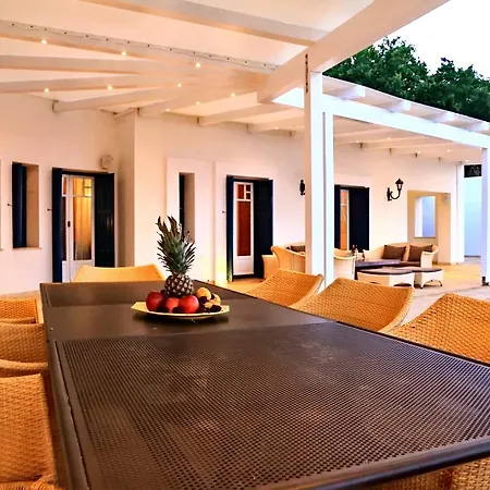 Sports And Leisure Villa Apikia (Andros)